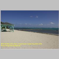 38744 18 060 Colliers Beach,  Grand Cayman, Karibik-Kreuzfahrt 2020.JPG